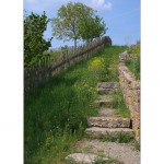 Weg