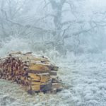 Holzstoss - H. Lodes