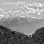 T. Bahl - Garda