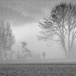im Nebel