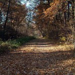 Herbststimmung