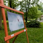 Impressionen der Outdoor-Ausstellung des Fotoclub Schwabach vom 21. bis 22. Mai 2011 im Stadtpark Schwabach.