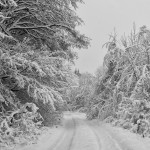 G. Engl - Winterzauber