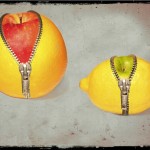 W. Roehrl - Amazing Fruits